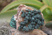 Natural Rare Ball Malachite On Drusy Quartz Dolomite Specimens x 2 From Kambove, Congo - Toprock Gemstones and Minerals 