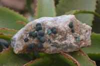 Natural Rare Ball Malachite On Drusy Quartz Dolomite Specimens x 2 From Kambove, Congo - Toprock Gemstones and Minerals 