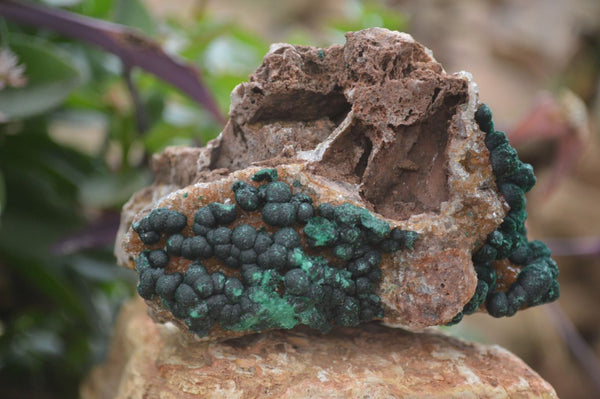 Natural Rare Ball Malachite On Drusy Quartz Dolomite Specimens x 2 From Kambove, Congo - Toprock Gemstones and Minerals 