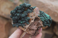 Natural Rare Ball Malachite On Drusy Quartz Dolomite Specimens x 2 From Kambove, Congo - Toprock Gemstones and Minerals 