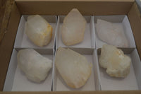Natural Large Quartz Crystals  x 6 From Madagascar - Toprock Gemstones and Minerals 