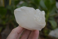 Natural Large Quartz Crystals  x 6 From Madagascar - Toprock Gemstones and Minerals 