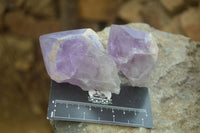 Polished Jacaranda Amethyst Crystals x 12 From Zambia - Toprock Gemstones and Minerals 