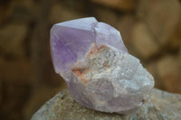 Polished Jacaranda Amethyst Crystals x 12 From Zambia - Toprock Gemstones and Minerals 