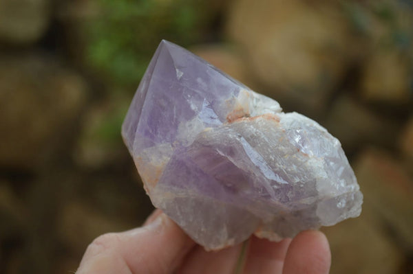 Polished Jacaranda Amethyst Crystals x 12 From Zambia - Toprock Gemstones and Minerals 