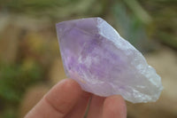 Polished Jacaranda Amethyst Crystals x 12 From Zambia - Toprock Gemstones and Minerals 