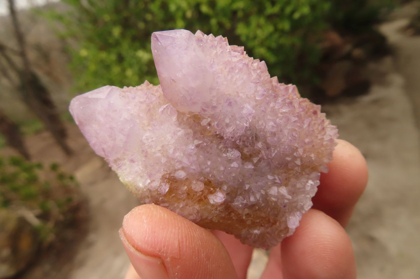 Natural Spirit Ametrine Quartz Clusters x 12 From Boekenhouthoek, South Africa - Toprock Gemstones and Minerals 