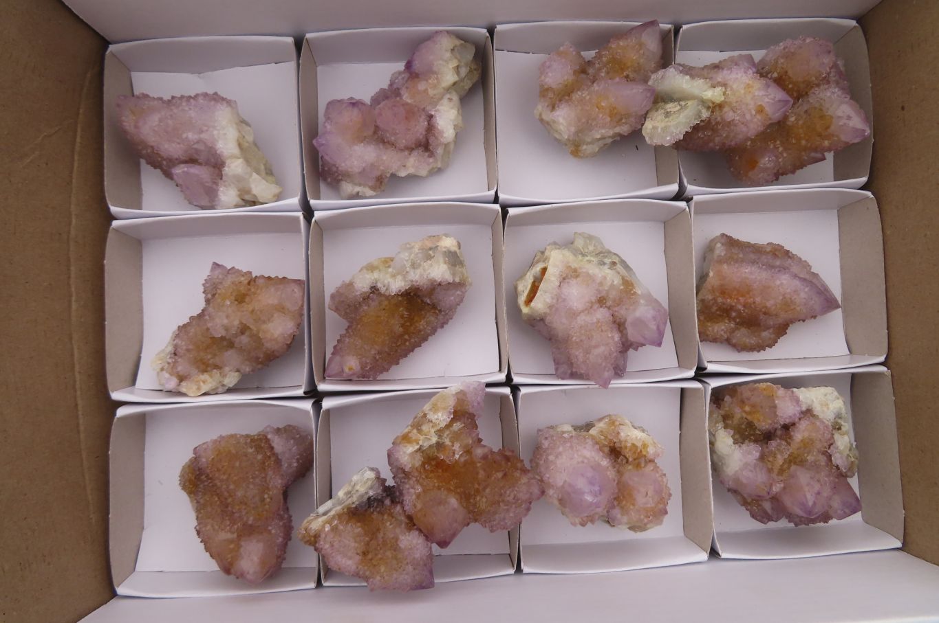 Natural Spirit Ametrine Quartz Clusters x 12 From Boekenhouthoek, South Africa - Toprock Gemstones and Minerals 