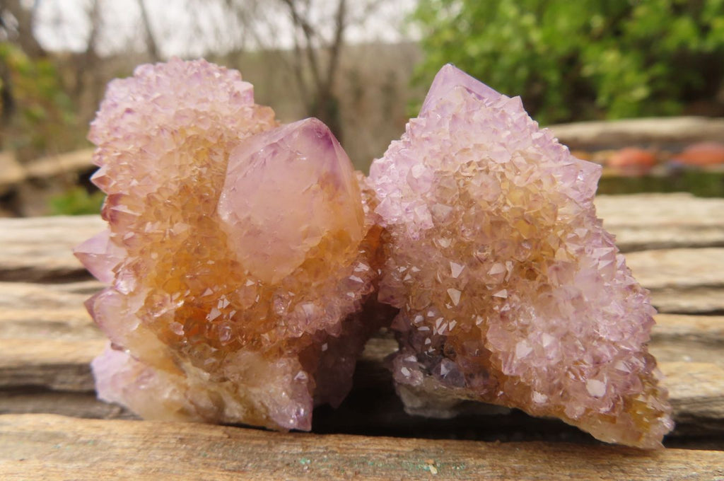 Natural Spirit Ametrine Quartz Clusters x 12 From Boekenhouthoek, South Africa - Toprock Gemstones and Minerals 