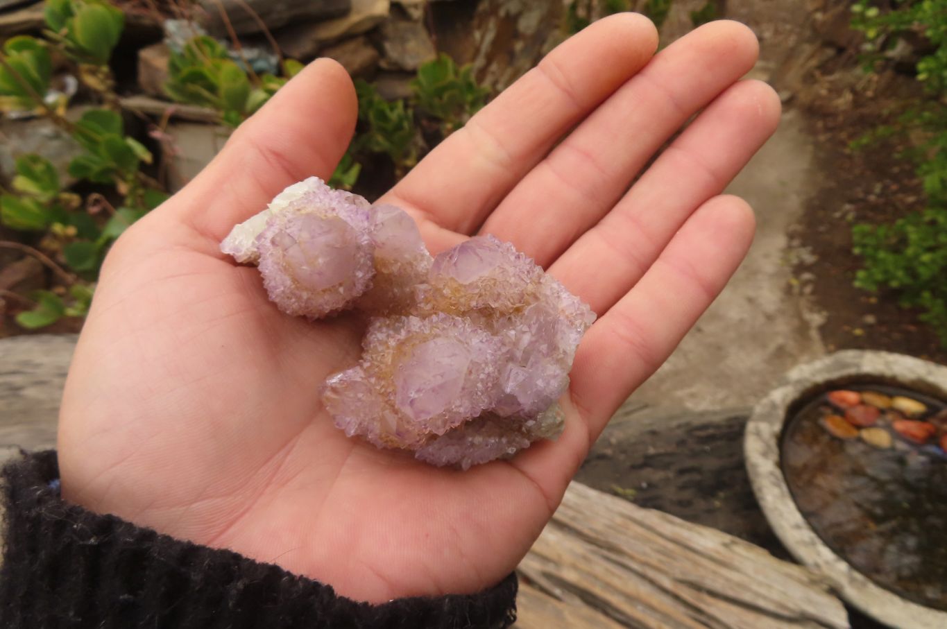 Natural Spirit Ametrine Quartz Clusters x 12 From Boekenhouthoek, South Africa - Toprock Gemstones and Minerals 