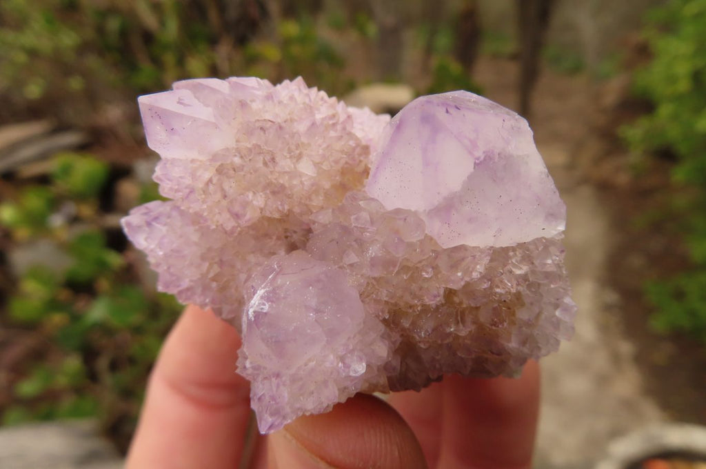 Natural Spirit Ametrine Quartz Clusters x 12 From Boekenhouthoek, South Africa - Toprock Gemstones and Minerals 