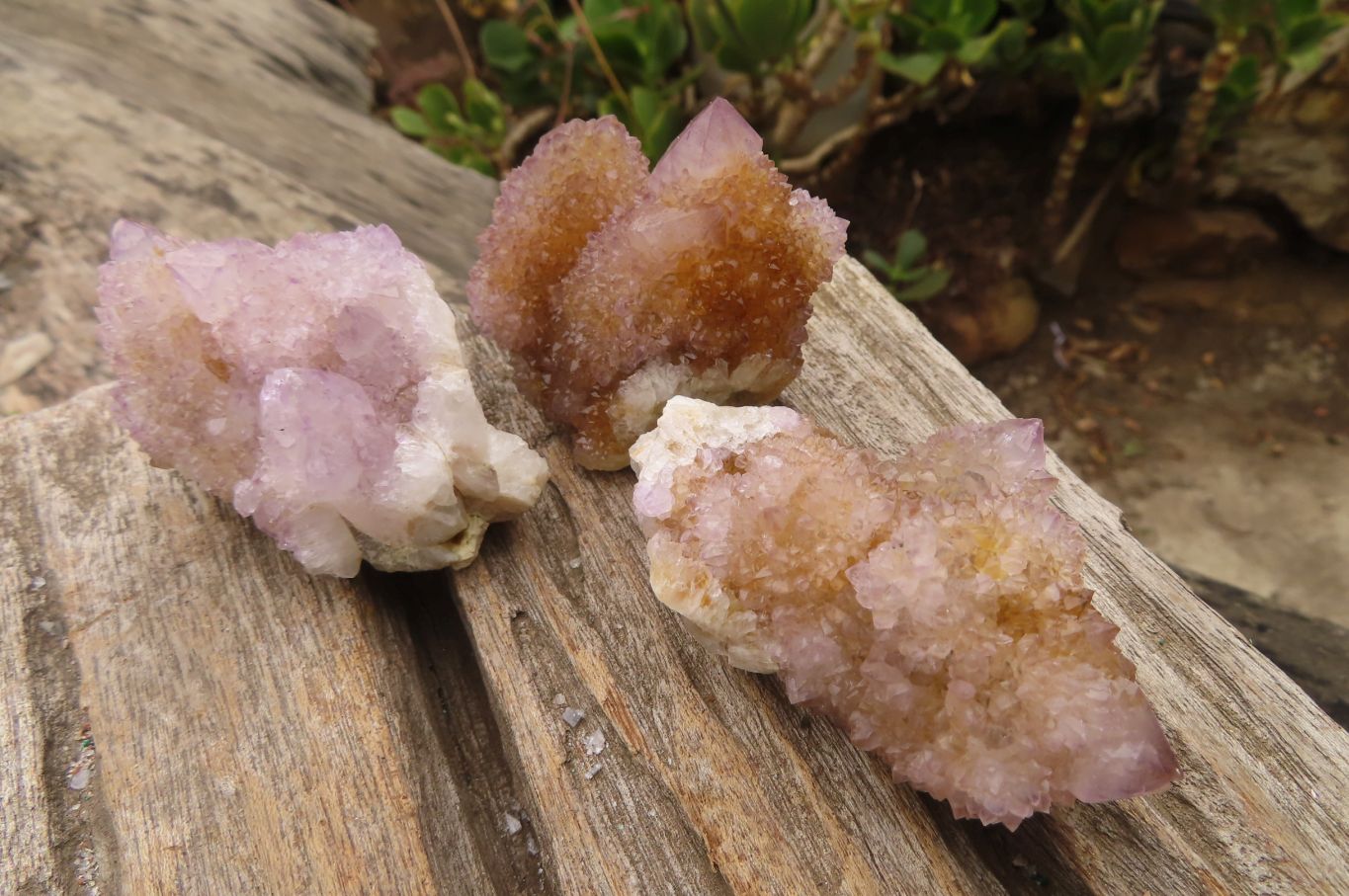 Natural Spirit Ametrine Quartz Clusters x 12 From Boekenhouthoek, South Africa - Toprock Gemstones and Minerals 