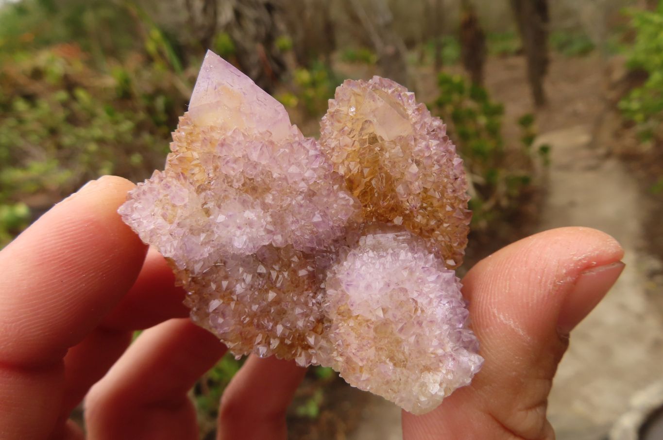 Natural Spirit Ametrine Quartz Clusters x 12 From Boekenhouthoek, South Africa - Toprock Gemstones and Minerals 