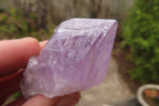 Natural Jacaranda Amethyst Crystals x 35 From Zambia - Toprock Gemstones and Minerals 