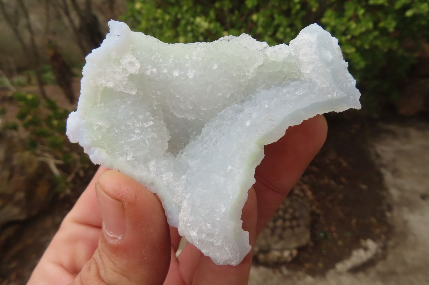 Natural Etched Blue Chalcedony Specimens  x 12 From Malawi - Toprock Gemstones and Minerals 