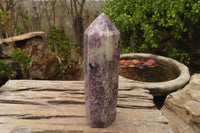 Polished Purple Lepidolite Points  x 3 From Madagascar - Toprock Gemstones and Minerals 