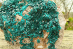 Natural Large Emerald Dioptase Dolomite Specimen  x 1 From Congo - Toprock Gemstones and Minerals 