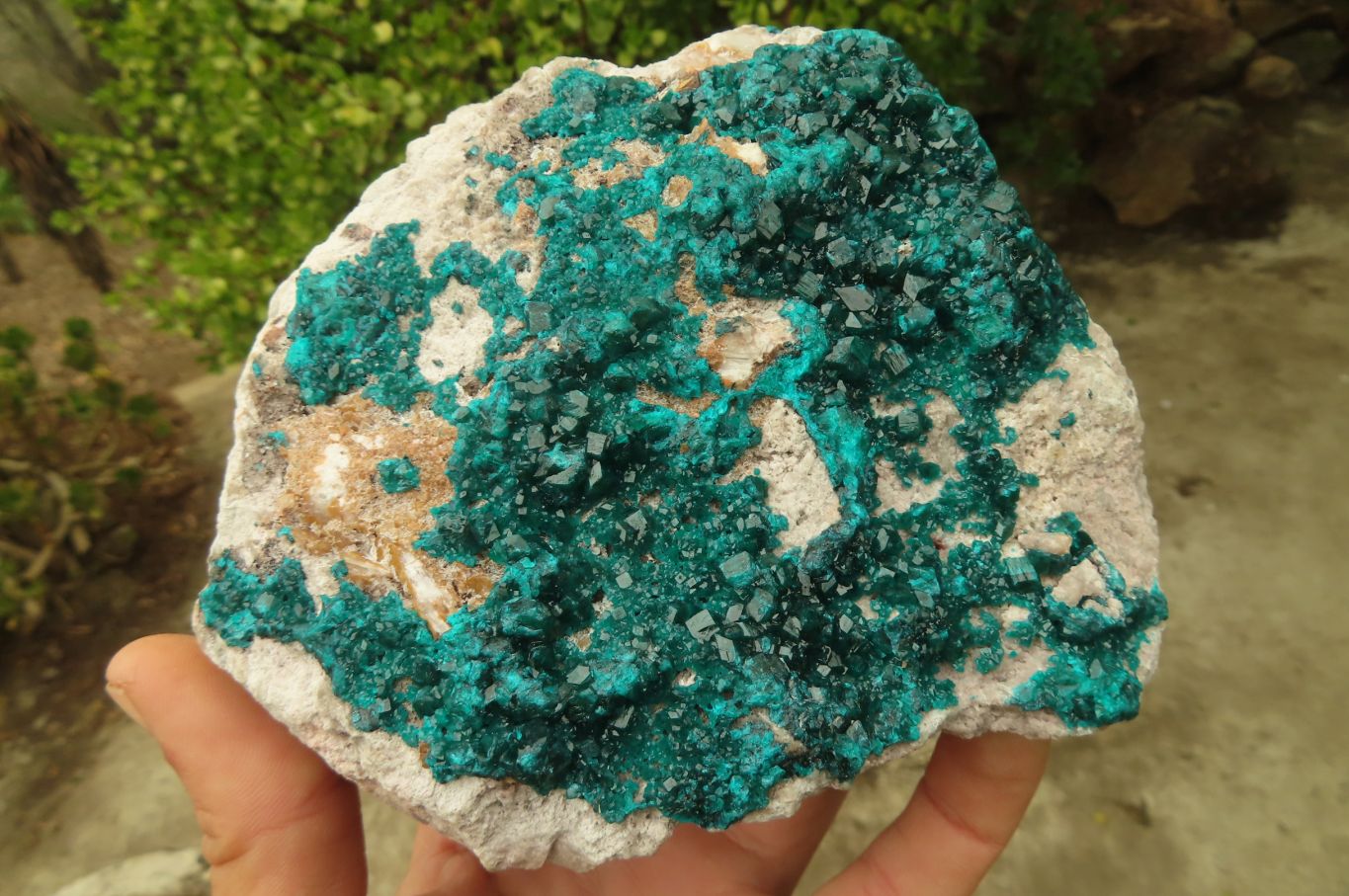 Natural Large Emerald Dioptase Dolomite Specimen  x 1 From Congo - Toprock Gemstones and Minerals 