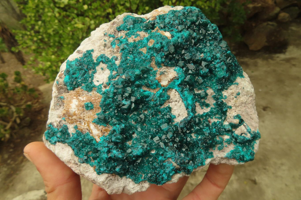Natural Large Emerald Dioptase Dolomite Specimen  x 1 From Congo - Toprock Gemstones and Minerals 