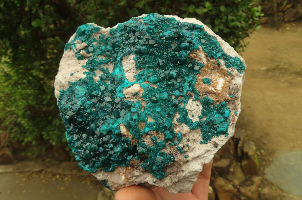 Natural Large Emerald Dioptase Dolomite Specimen  x 1 From Congo - Toprock Gemstones and Minerals 