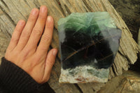 Polished One Side Polished Watermelon Fluorite Slab  x 1 From Uis, Namibia - Toprock Gemstones and Minerals 