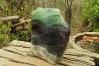 Polished One Side Polished Watermelon Fluorite Slab  x 1 From Uis, Namibia - Toprock Gemstones and Minerals 