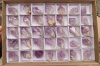 Natural Jacaranda Amethyst Crystals x 35 From Zambia - Toprock Gemstones and Minerals 