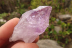 Natural Jacaranda Amethyst Crystals x 35 From Zambia - Toprock Gemstones and Minerals 