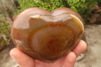 Polished Agate Hearts x 6 From Madagascar - Toprock Gemstones and Minerals 