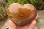 Polished Agate Hearts x 6 From Madagascar - Toprock Gemstones and Minerals 