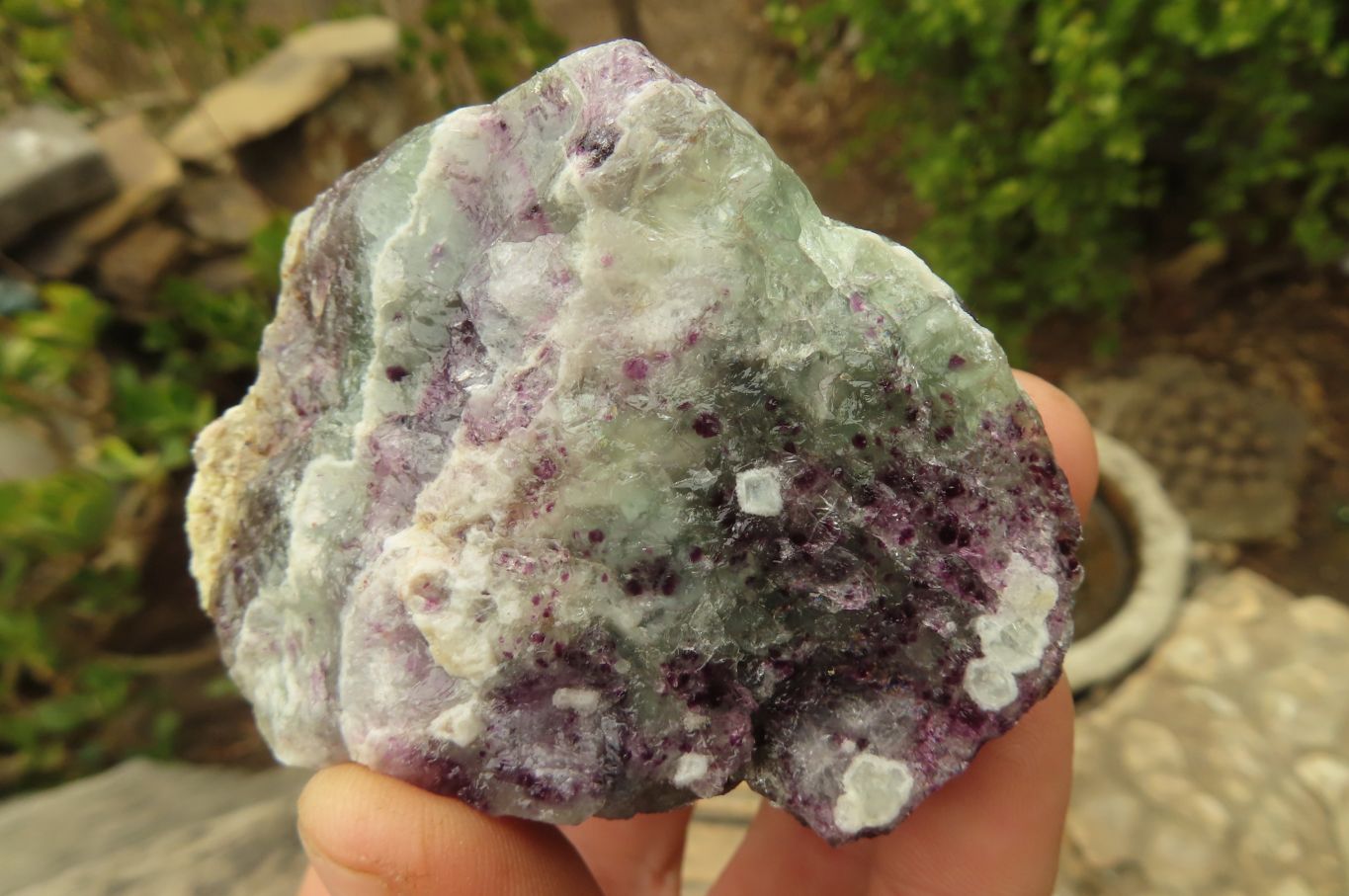 Natural Rough Watermelon Fluorite Cobbed Specimens  x 12 From Uis, Namibia - Toprock Gemstones and Minerals 