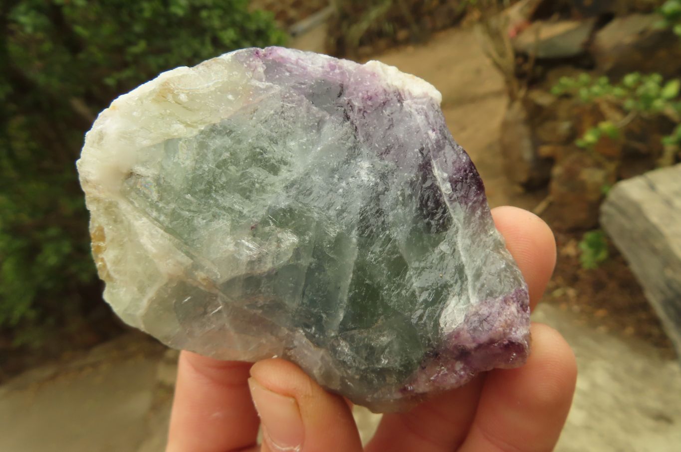 Natural Rough Watermelon Fluorite Cobbed Specimens  x 12 From Uis, Namibia - Toprock Gemstones and Minerals 