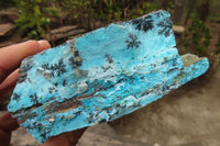 Natural Extra Large Drusy Chrysocolla Dolomite Specimens x 2 From Congo - Toprock Gemstones and Minerals 