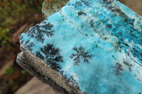 Natural Extra Large Drusy Chrysocolla Dolomite Specimens x 2 From Congo - Toprock Gemstones and Minerals 