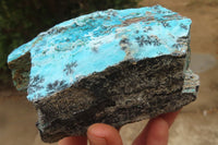 Natural Extra Large Drusy Chrysocolla Dolomite Specimens x 2 From Congo - Toprock Gemstones and Minerals 