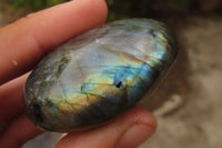 Polished Labradorite Galets  x 20 From Madagascar - Toprock Gemstones and Minerals 
