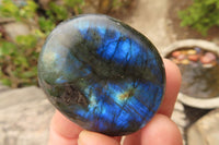 Polished Labradorite Galets  x 20 From Madagascar - Toprock Gemstones and Minerals 