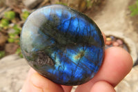 Polished Labradorite Galets  x 20 From Madagascar - Toprock Gemstones and Minerals 