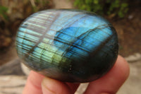 Polished Labradorite Galets  x 20 From Madagascar - Toprock Gemstones and Minerals 