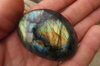 Polished Labradorite Galets  x 20 From Madagascar - Toprock Gemstones and Minerals 