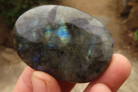 Polished Labradorite Galets  x 20 From Madagascar - Toprock Gemstones and Minerals 