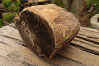 Polished Petrified Wood Branch Pieces  x 4 From Gokwe, Zimbabwe - Toprock Gemstones and Minerals 