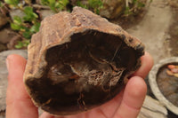Polished Petrified Wood Branch Pieces  x 4 From Gokwe, Zimbabwe - Toprock Gemstones and Minerals 