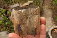 Polished Petrified Wood Branch Pieces  x 4 From Gokwe, Zimbabwe - Toprock Gemstones and Minerals 