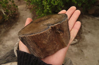 Polished Petrified Wood Branch Pieces  x 4 From Gokwe, Zimbabwe - Toprock Gemstones and Minerals 
