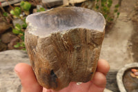 Polished Petrified Wood Branch Pieces  x 4 From Gokwe, Zimbabwe - Toprock Gemstones and Minerals 