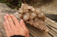 Natural Smokey Quartz Cluster x 1 From Congo - Toprock Gemstones and Minerals 