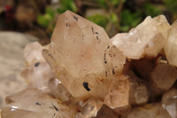 Natural Smokey Quartz Cluster x 1 From Congo - Toprock Gemstones and Minerals 