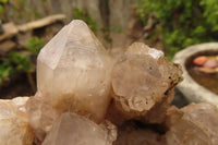 Natural Smokey Quartz Cluster x 1 From Congo - Toprock Gemstones and Minerals 