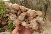 Natural Smokey Quartz Cluster x 1 From Congo - Toprock Gemstones and Minerals 